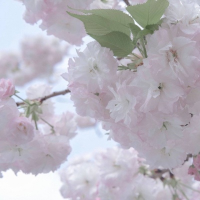 长春FurryQQ群介绍